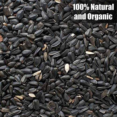 Old Potters Wildlife Black Oil Sunflower Seeds for Birds and Wildlife, Non-GMO & USA Grown on Small Farms (12 lbs)