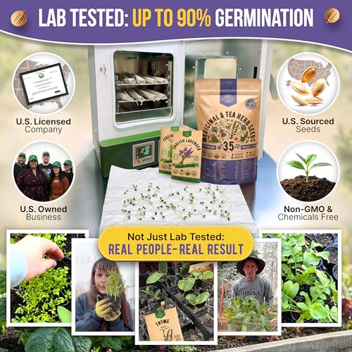 35 Medicinal & Tea Herb Seeds Variety Pack for Indoor & Outdoors. 16,335+ Non-GMO Heirloom Garden Seeds: Anise, Bergamot, Borage, Cilantro, Chamomile, Dandelion, Rosemary Seeds & More
