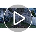 MAQIHAN 1000 sqft Spider Webs Halloween-Decorations Halloween Spider Web Cobwebs Halloween Decorations with 40 Fake Spiders Super Stretch Cobwebs for Halloween Decor Outdoor