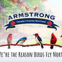 Armstrong Wild Bird Food Premium Year-Round Blend, 40 Pounds - with Cut Corn, Red Milo, White Millet & Black Oil Sunflower Seeds - Backyard Bird Feeding
