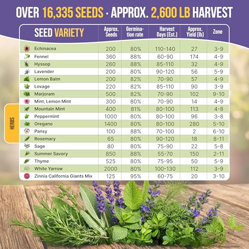 35 Medicinal & Tea Herb Seeds Variety Pack for Indoor & Outdoors. 16,335+ Non-GMO Heirloom Garden Seeds: Anise, Bergamot, Borage, Cilantro, Chamomile, Dandelion, Rosemary Seeds & More