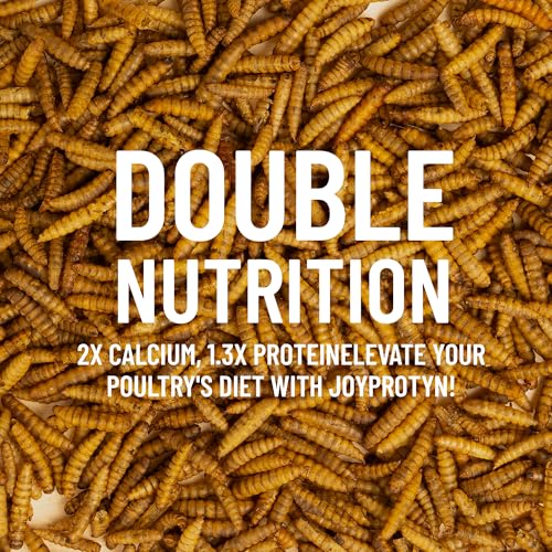5LB Non-GMO Dried Black Soldier Fly Larvae for Chickens – 85X More Calcium Grubs Than Mealworms for Strong Eggshells & Healthy Growth - High Protein for Chickens, Birds, Ducks, Geese & Pets
