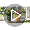 8 Inch Plant Pots 4 Pack Plastic Planters with Drainage & Saucers | 8 inch 4 pack plastic plant pots with 3D water ripple texture, drainage holes and saucers for indoor outdoor plants