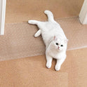 Uross Carpet Protector for Pets - Cat Scratch Guard Mat, Anti Scratch Under Door Guard, Easy to Cut Plastic, 3.6FT