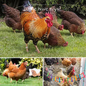 Chicken Toys for Coop 12PCS Set, KAKUNM Chicken Enrichment Toys，Including Xylophone, Swing Set, Mirror Toy, Flexible Ladder, Vegetable String Bag and Hanging Feeder, Coop Accessories for Hens