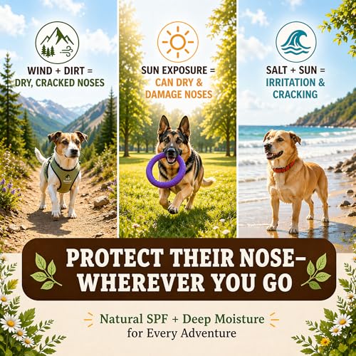 Natural Dog Company Snout Soother Dog Nose Balm – Moisturizing Care for Dry, Crusty, Cracked Noses with Coconut Oil & Shea Butter, Lick Safe Dog Snout Balm for All Breeds - 1 oz Tin