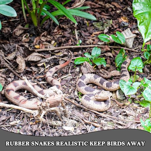 Gelabur 2Pcs Fake Snakes Prank, Soft Rubber Snake Realistic Keep Birds Away, Fake Snakes Toy - Life-Like Snake Figurine for Pranks, Halloween Decorations, and Educational Purposes