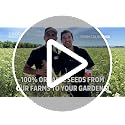 Back to the Roots 100% Heirloom Rescued Seeds, Variety Pack, 30ct of Organic Veggies, Herbs & Flowers to Prevent Waste (Assortment Varies)