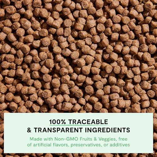 Open Farm, Ancient Grains Dry Dog Food For Small Breeds, Protein-Rich & Nutrient Dense, 90% Animal Protein With Non-GMO Fruits, Veggies and Superfoods, Chicken & Turkey Recipe For Small Dogs, 11lb Bag