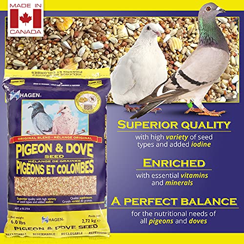 Hagen Pigeon & Dove Seed - Original Formula Bird Food, 6 lb Bag – Nutritionally Complete Seed Mix with Vitamins & Minerals – Wild & Captive Bird Diet – Insect-Resistant Air-Tight Packaging