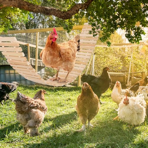 Jorewood Chicken Coop Toy Natural Wooden Chicken Swing & Bridge Toys Multi-Functional Poultry Perch with Wooden Beads (Safe for Chickens/Ducks)