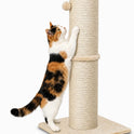 PAWSCRAT Cat Scratching Post 32 Inch High, 5.5 Inch Large Diameter Natural Sisal Cat Scratch Post, Scratch-Resistant and Durable Tall Cat Scratcher for Indoor Cats, Protect Your Furniture, Beige