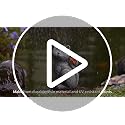 Cat Outdoor Statues for Garden with Solar Butterfly | IP65 Waterproof,Outside Decor, Yard Art Lawn Ornaments, Porch Patio Balcony Home House, Gifts for Mom Grandma Women