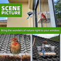 WENMIXER Window Bird Feeder with Non-Marking Self-Adhesive Hooks, Clear and Transparent, Outdoor Wild Bird Watching Gift, Garden Decor (Standard)