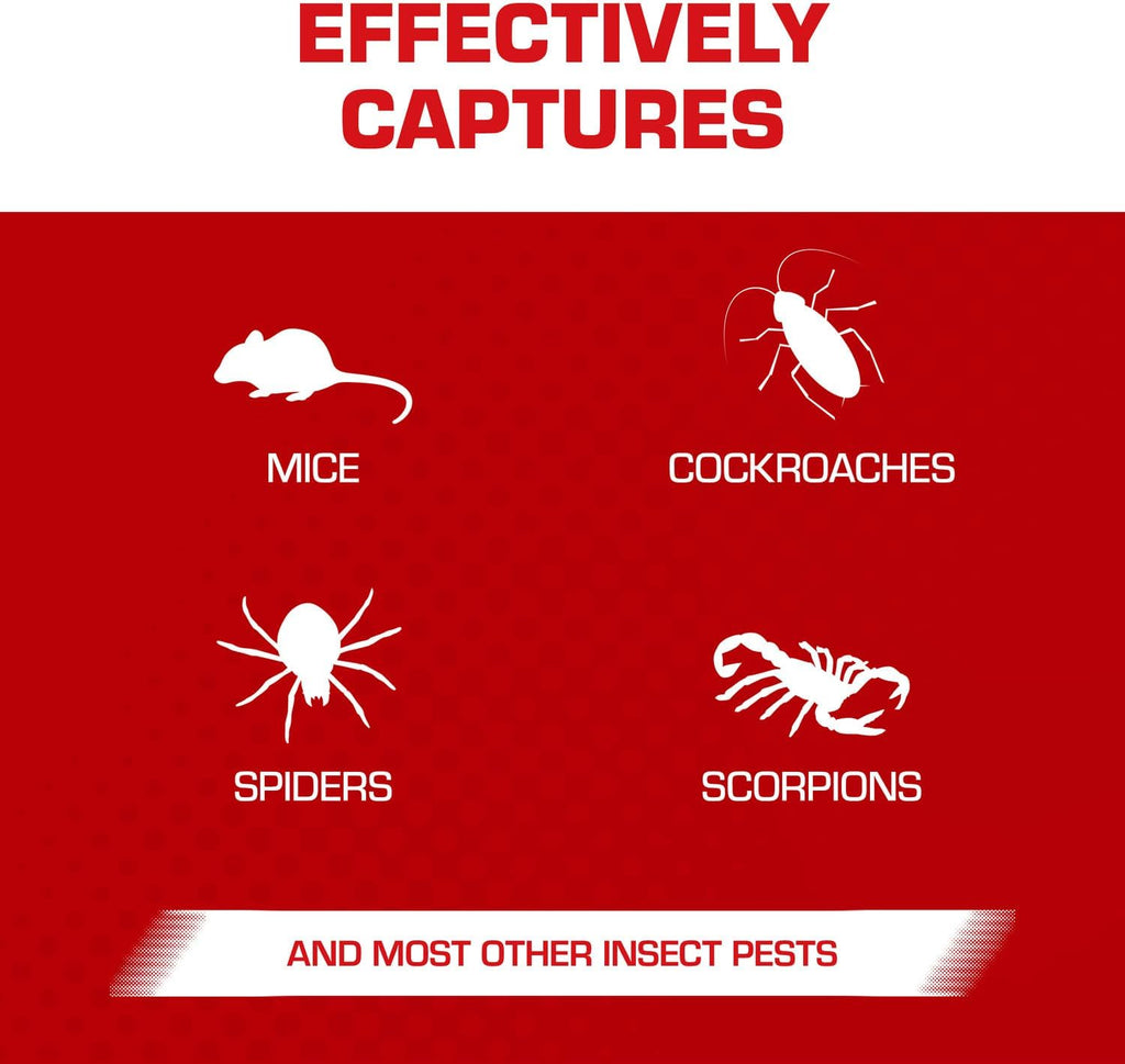 Tomcat Glue Traps Mouse Size with Eugenol for Enhanced Stickiness for Mice, Cockroaches, and Spiders, 6 Traps