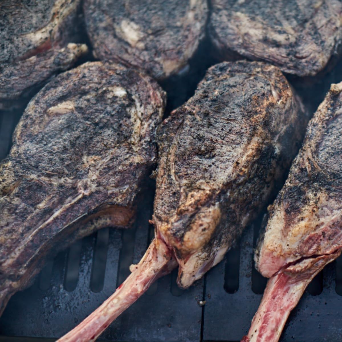 Hardcore Carnivore Black: Activated Charcoal Meat Seasoning Rub (13 oz Shaker) Texas-Made, Blend for Steak, Brisket, Burgers, BBQ, Grilling and Smoking