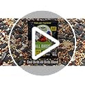Cool Birds All Birds Wild Bird Seed – 10 lb. Classic Blend with Black Oil Sunflower, White Millet, Safflower, Peanuts & Sunflower Hearts – Balanced Bird Food for Outside Feeders