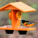Oriole Bird Feeder, Double-Cup Jelly Oriole Feeder with Pegs for Orange Halves (Orange)