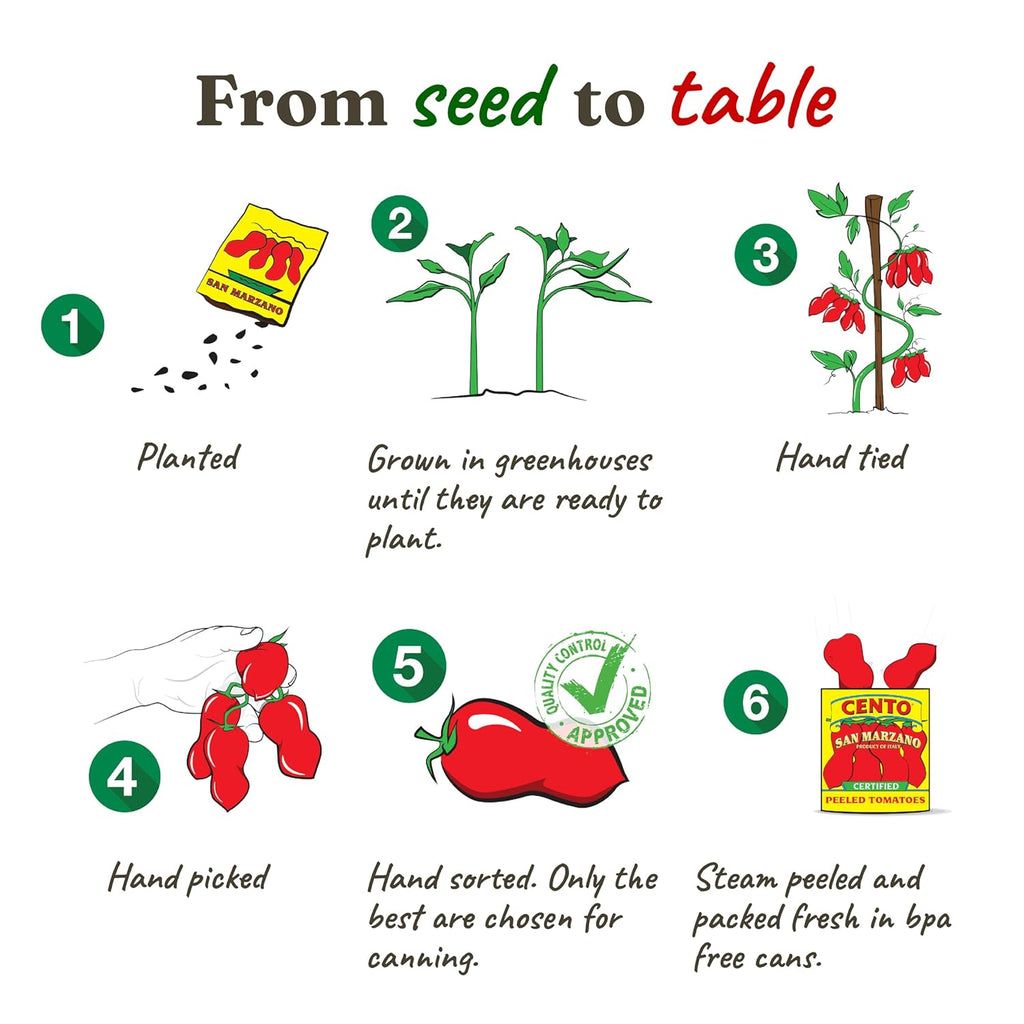 Cento Certified San Marzano Whole Peeled Tomatoes, 28 Oz (Pack of 6), Canned Plum Tomatoes in Thick Puree with Basil, Grown and Processed in Italy