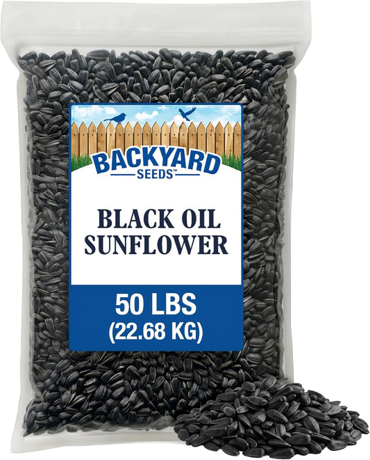 Backyard Seeds Black Oil Sunflower Seeds for Wild Birds 50lbs - Thin Shells, Premium Cardinal Food, Large Bulk Bag of Black Oil Sunflower Seeds