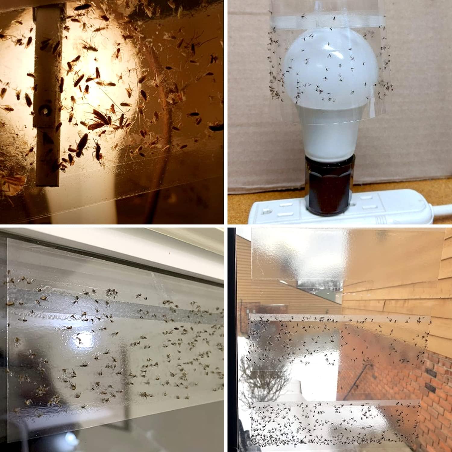 50 Pack Window Fly Trap, Fruit Fly Traps for Indoors, Fly Paper Sticky Strips, Fly Traps for Indoors Clear