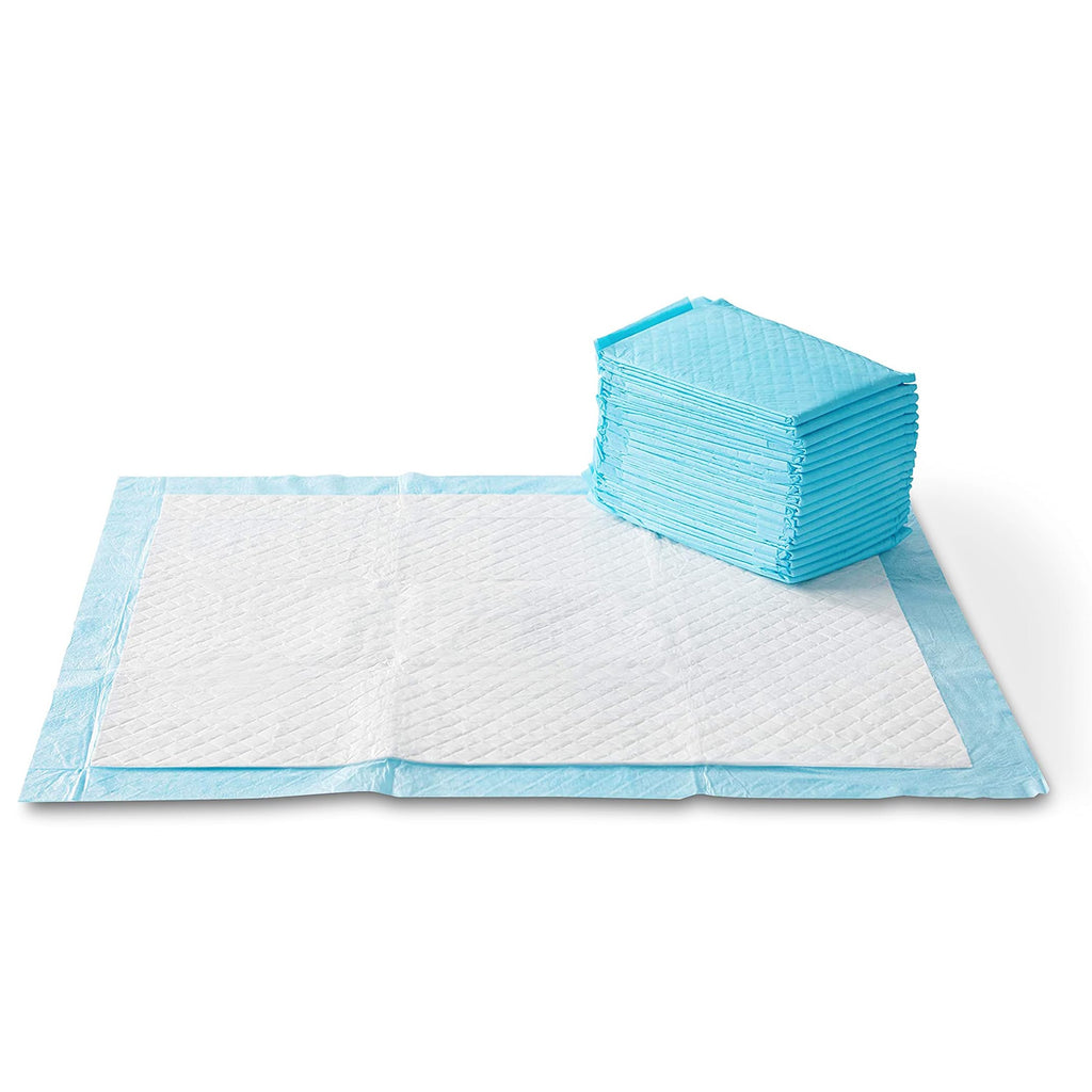 Basics X-Large Heavy Duty Absorbent Puppy Potty Pads, Leak-Proof, Quick-Dry, Super Absorbent Gel Technology for Dog Training, 28 x 34 Inches, Blue & White, Pack of 50