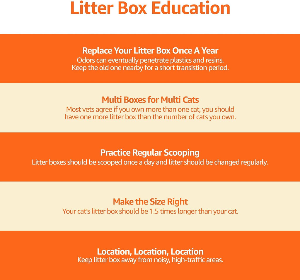 Basics Large Cat Litter Box with High Sides, Open Top, Includes Scoop, 19 x 15 x 11.75 inches, Grey/Beige