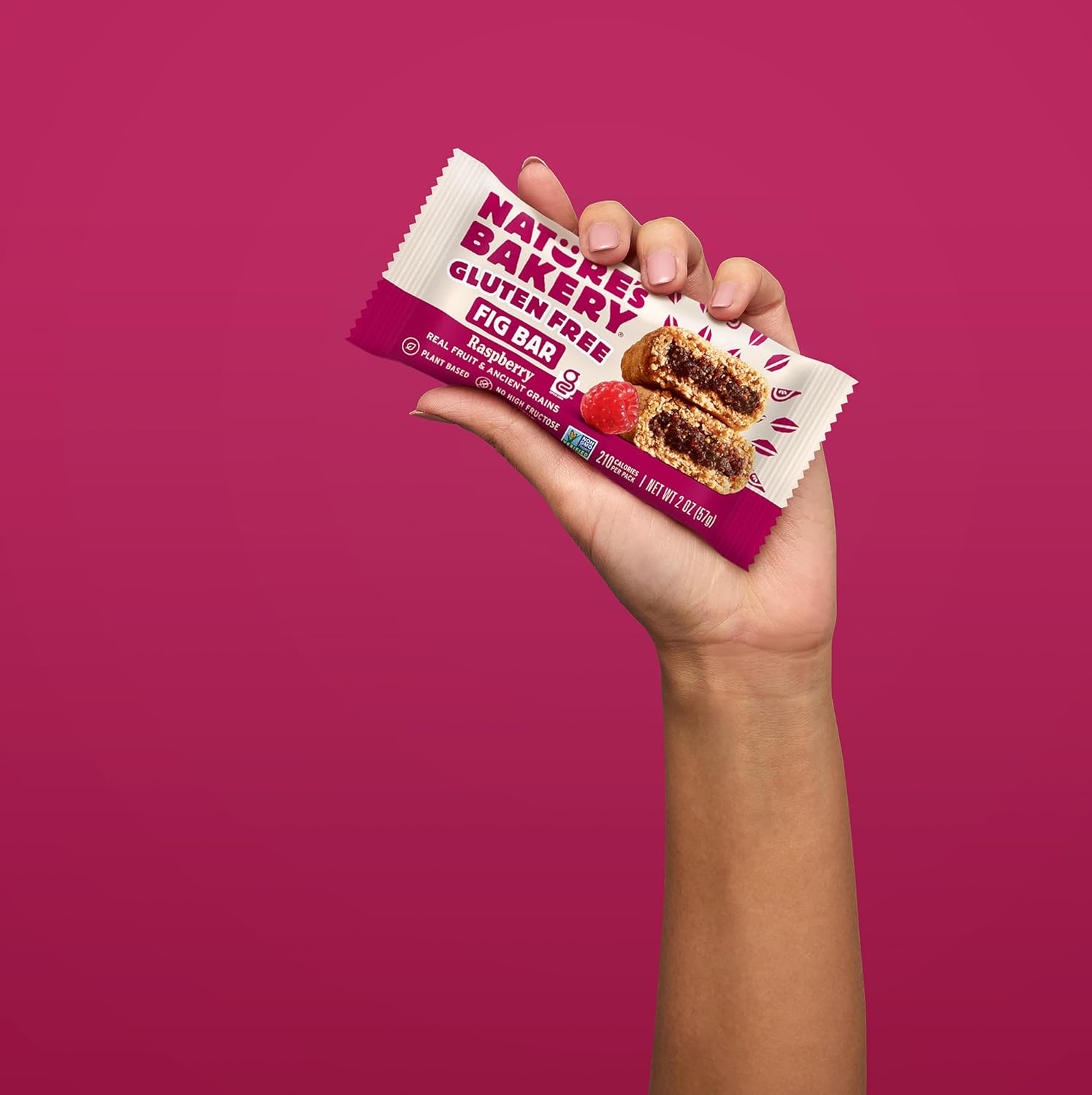 Nature’s Bakery Gluten Free Fig Bars, Raspberry, Real Fruit, Vegan, Non-GMO, Snack Bar, 1 box with 6 twin packs (6 twin packs)