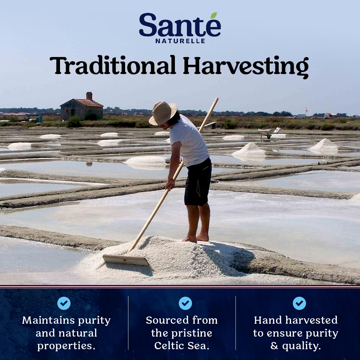Sante Naturelle Celtic Salt Organic Fine Ground - 1.1lb (18oz) Unrefined French Mineral Sea Salt Organic, Rich in 82+ Minerals, 100% Natural & Hand Harvested Sal Celtica