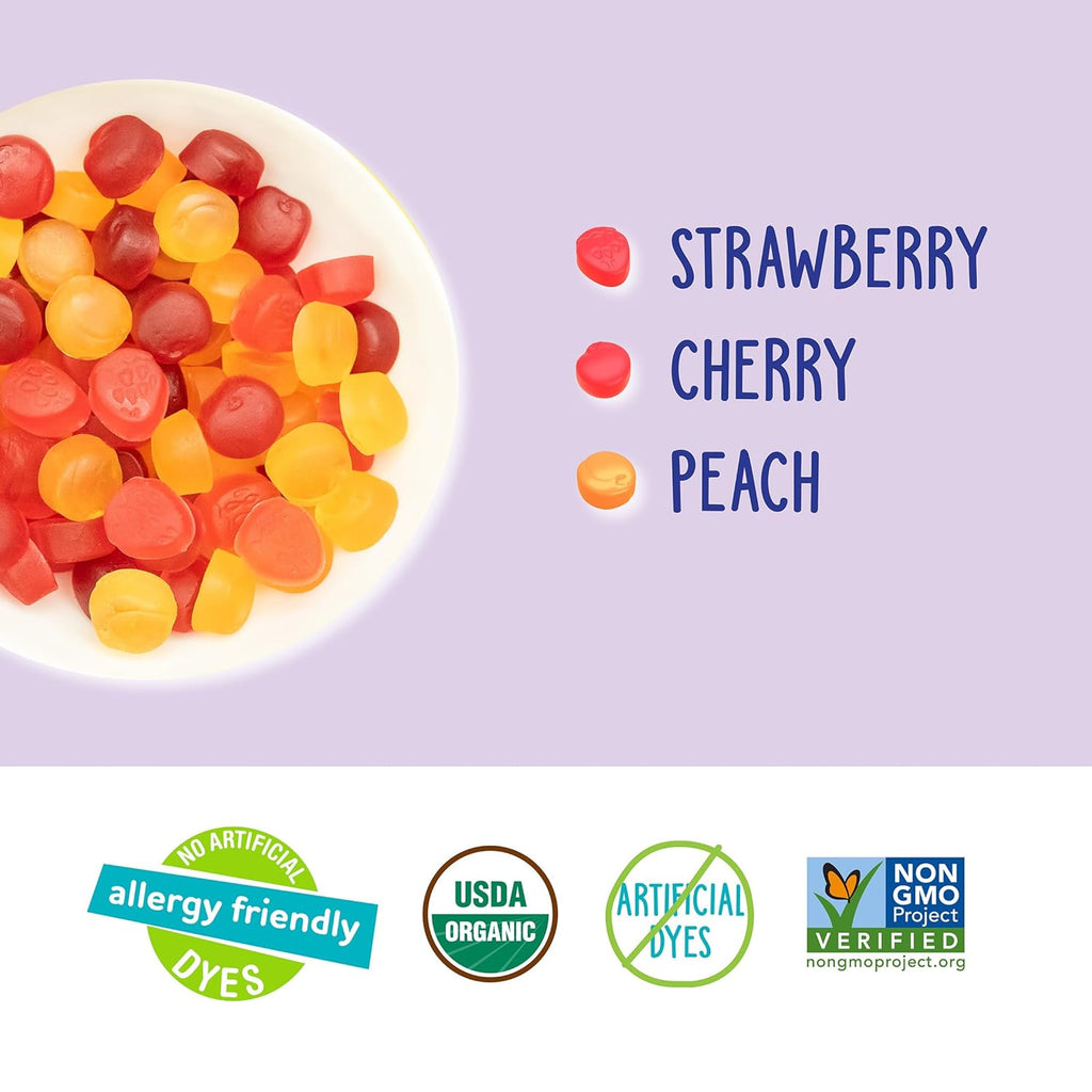 YumEarth Organic Fruit Snacks Box, 0.7 Ounce (Pack of 10)