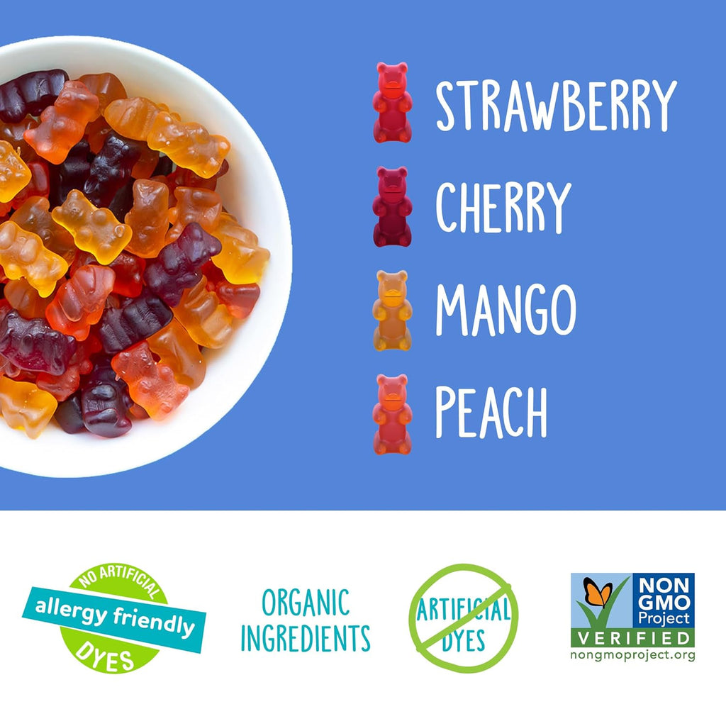 YumEarth Organic Gummy Bears - Fruity Gummy Candy Snack Packs, Gluten Free Snacks for Kids - Allergy Friendly, Non-GMO, No Artificial Dyes - Assorted Flavors, 10.5 oz. (Pack of 15)