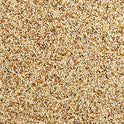 Wild Harvest Daily Blend Nutrition Diet for Parakeet, Canary and Finch 10 Pounds, Orange flavour