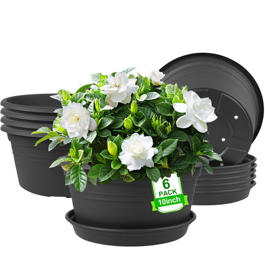 6 Pack 10 inch Plant Pot, Round Plastic Plant Pots, Outdoor Pots for Plants with Drainage Hole & Tray Saucer, Decoration Flower Pots for Indoor Plants Home Garden Outdoor Planters (Dark Gray)