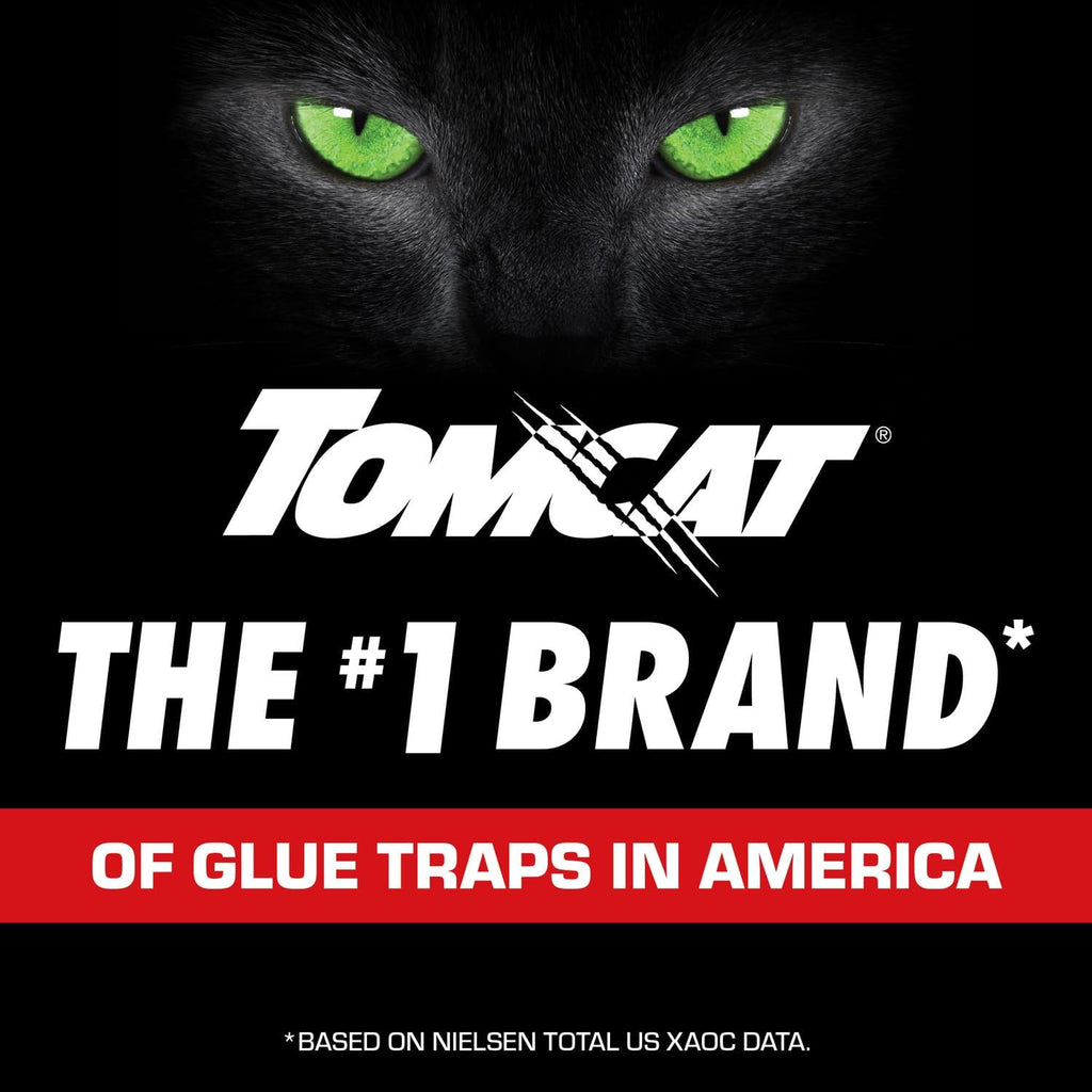 Tomcat Glue Traps Mouse Size with Eugenol for Enhanced Stickiness for Mice, Cockroaches, and Spiders, 6 Traps