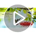 eWonLife Hummingbird Feeders for Outdoors, 2 Pack 16 oz Leak-Proof Dish-Style Humming Bird Feeder with Built-in Ant Moat, 5 Bee Proof Feeding Ports, Easy Clean, BPA Free Plastic, Hanging Garden Decor