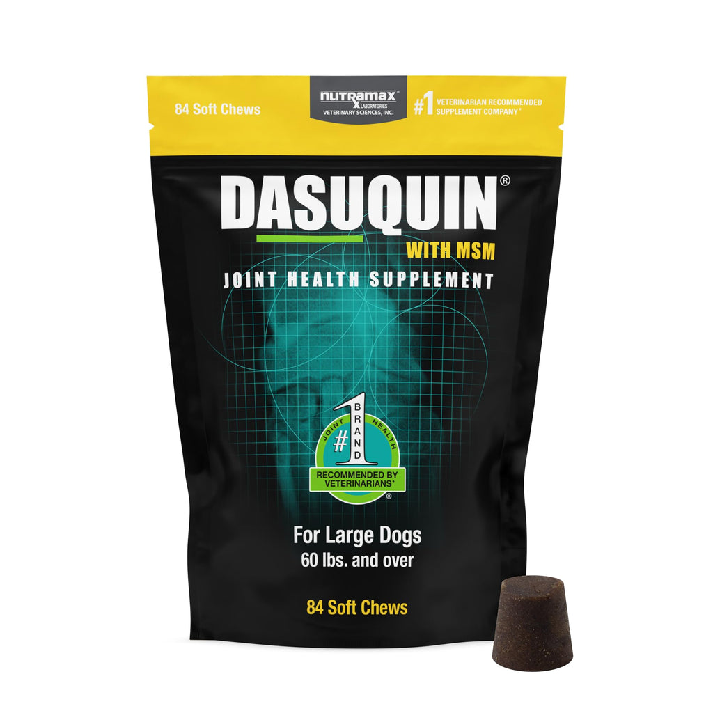 Nutramax Dasuquin MSM Joint Supplement for Large Dogs, Soft Chews, 84ct | Glucosamine and Chondroitin, ASU, MSM, Supports Healthy Joints, For Dogs Over 60 lbs, All Ages, Soft Chews