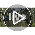 NETVUE by Birdfy Smart Bird Feeder with 2K HD AI Camera Solar Powered, Wireless Wildbird Watching, Live Stream&Color Night Vision, Auto-Capture & Notify, Free Cloud Storage(AI by Subscription)