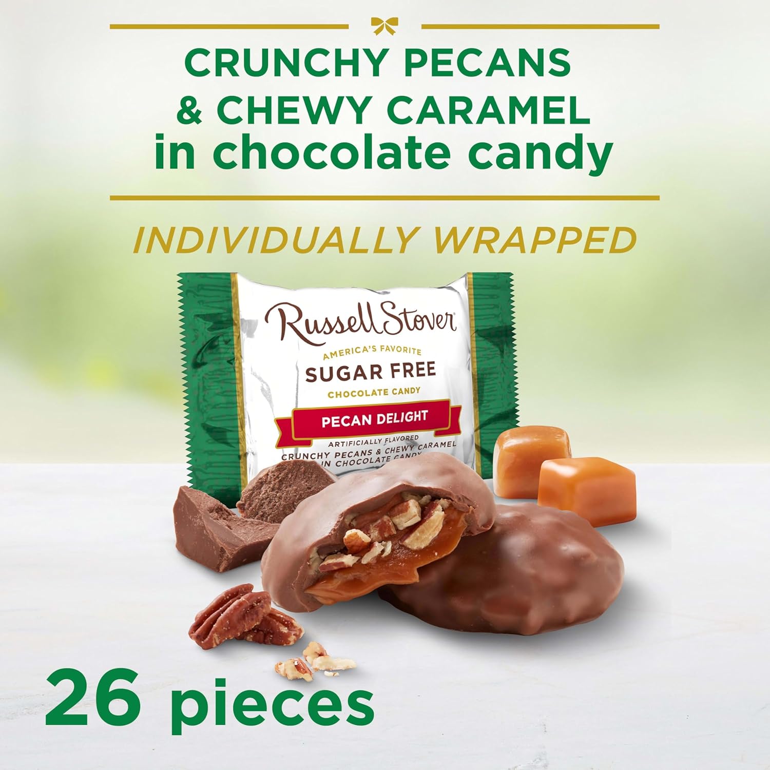 RUSSELL STOVER Sugar Free Pecan Delight Chocolate Candy, 15.5 oz. bag