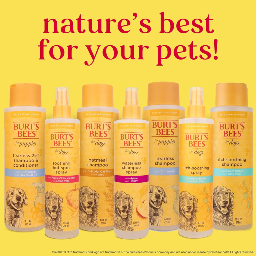Burt's Bees for Pets Oatmeal Shampoo for Dogs with Colloidal Oat Flour and Honey - Skin Soothing Dog Oatmeal Shampoo, Moisturizing Dog Wash for Itchy Dry Skin, Essential Grooming Supplies, 16 Fl Oz