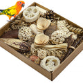 Natural Bird Toy Foraging Parrot Shredding Toys Box Conure Chewing Toys for Cockatiel Lovebird Parakeet Budgie Small-Medium Birds (Nature Color)