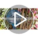 Self Watering Globes for Plant, 10pcs Auto Watering Bulb for Indoor Outdoor | Garden Potted Plant Watering Device for Vacation Plant Care, Flower Self Caring Water Conservation Device When You're Away