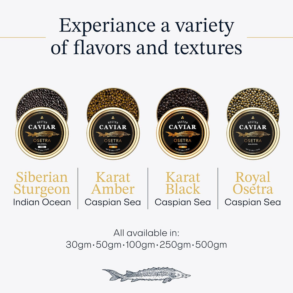 BESTER CAVIAR Royal Beluga Hybrid Sampler Set 1.05oz (30g) – Huso huso x Baerii Sturgeon Sampler Package – Caviar Serving Set with Mini Blinis (30 pcs), Mini Cooler, & 1 Spoon