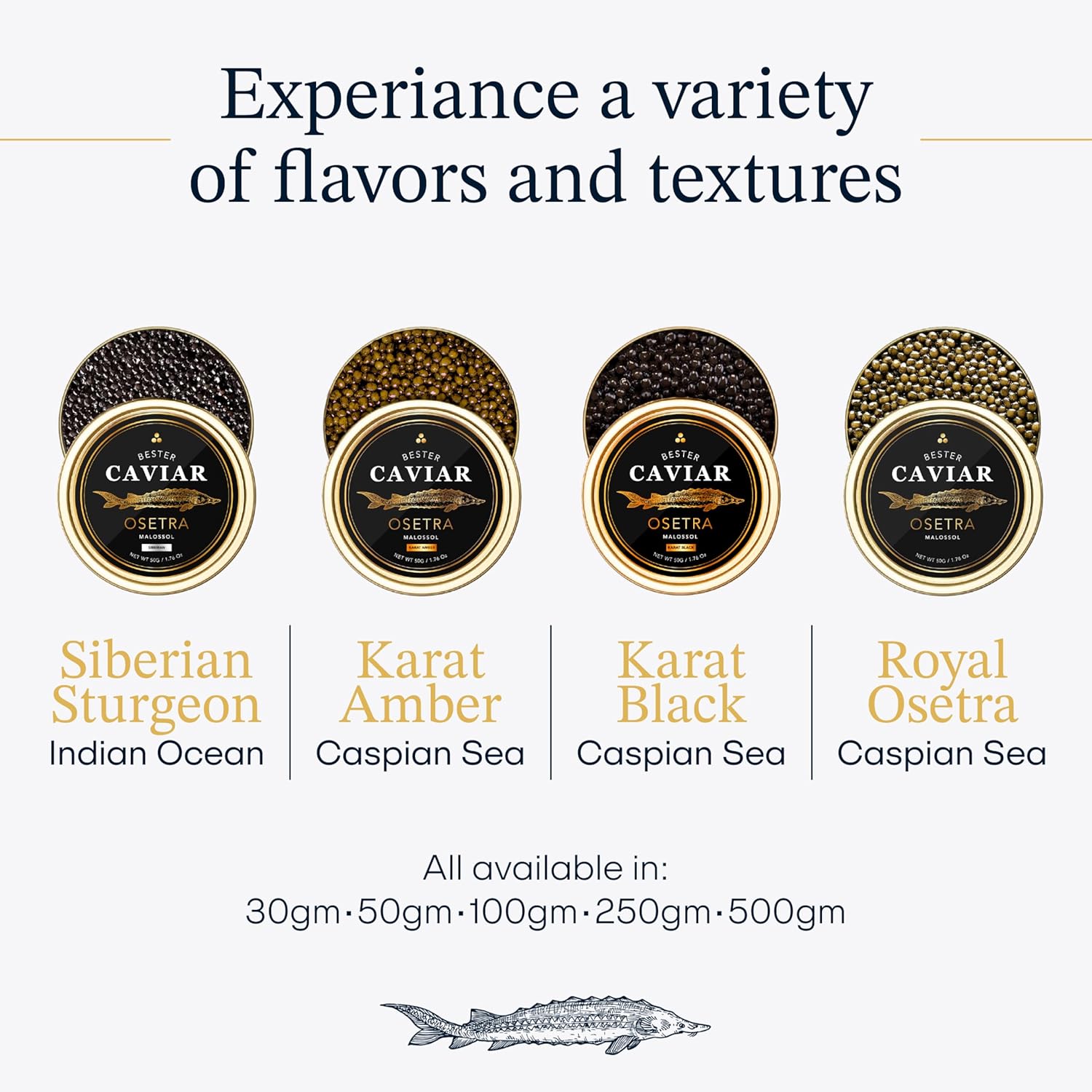 BESTER CAVIAR Royal Beluga Hybrid Sampler Set 1.05oz (30g) – Huso huso x Baerii Sturgeon Sampler Package – Caviar Serving Set with Mini Blinis (30 pcs), Mini Cooler, & 1 Spoon