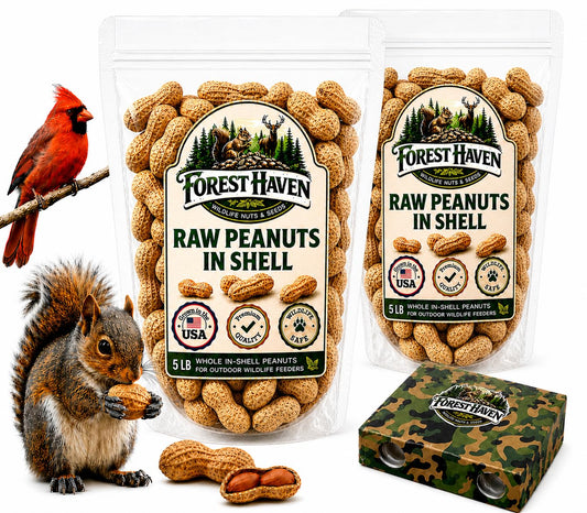 Forest Haven Premium Raw Peanuts for Squirrels – 10LB Bulk Squirrel Food – Unsalted Peanuts in Shell for Birds, Deer & Wildlife – Bonus Binoculars Included - USA Grown