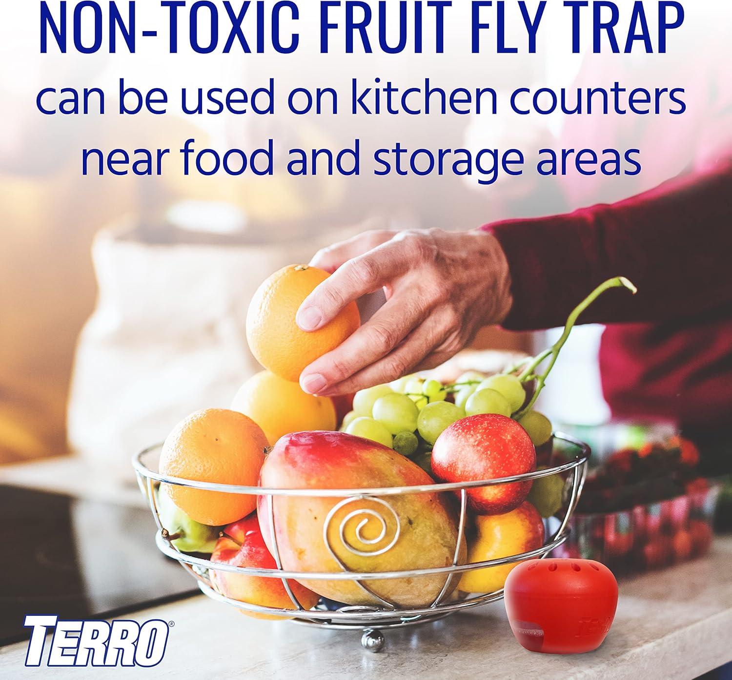 Terro Fruit Fly Traps for Indoors (4 Pack) + 180 Days of Lure Supply