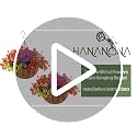Hananona 2 Set Artificial Outdoor Flowers with Hanging Basket, 2 Hanging Planters with 24 Pcs Flowers for Spring Summer Front Porch Garden Patio Home Decor (2, Red, Purple, Yellow, Rose Red)