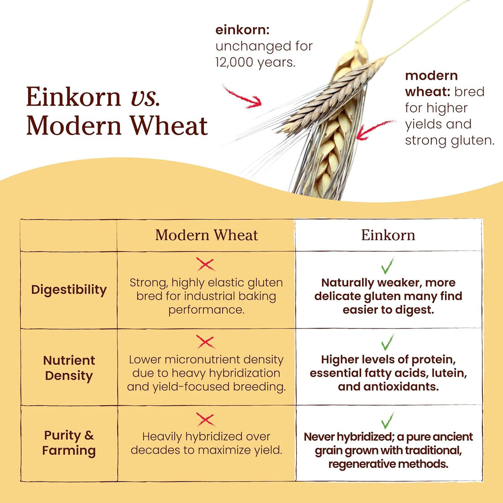 Jovial Organic Einkorn Unbleached All Purpose Flour - Bread Baking Flour for Sourdough, High Protein, Non-GMO, Organic Pizza & Pasta, European Italian, Glyphosate Free - 32 Oz