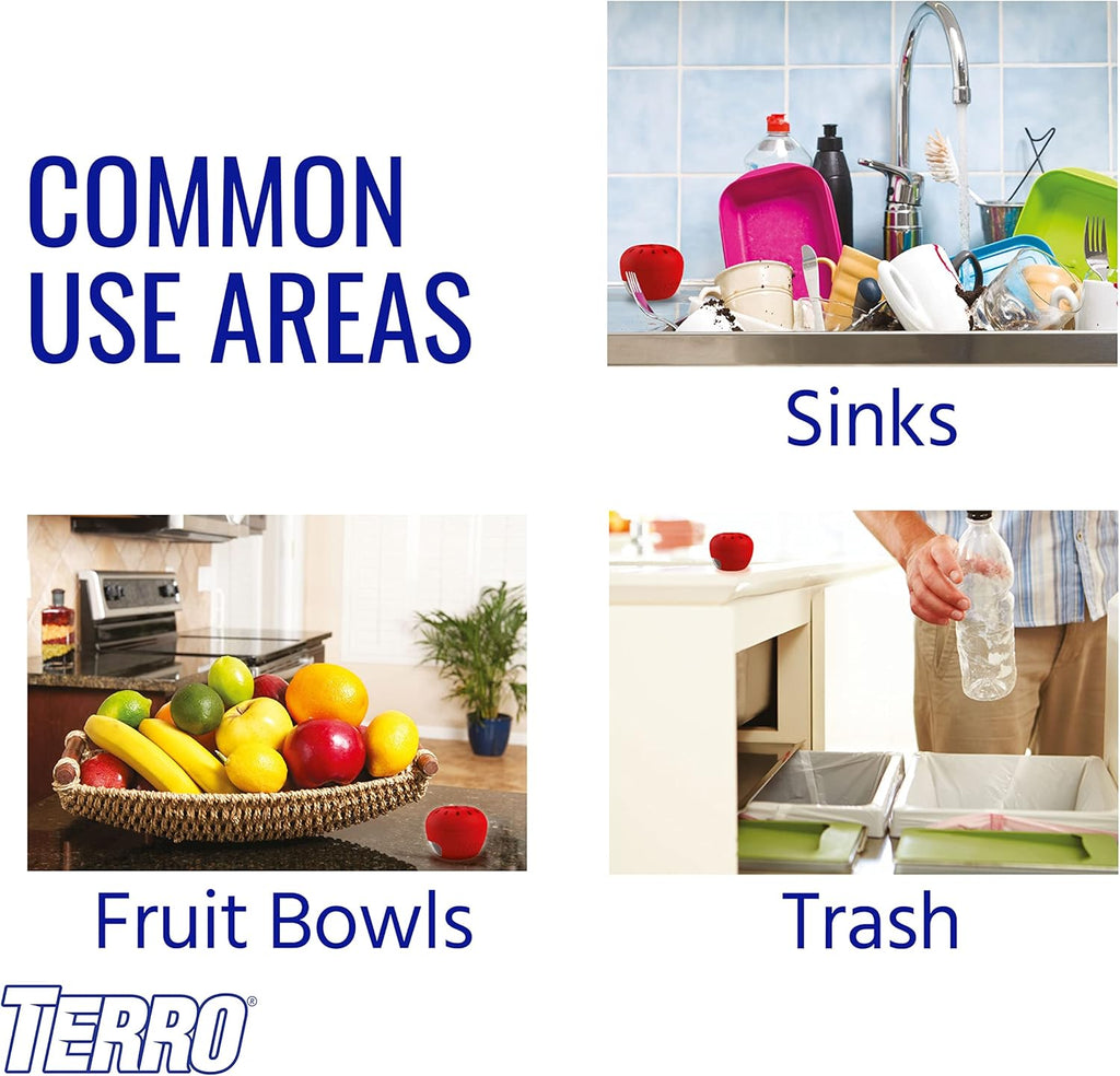 Terro Fruit Fly Traps for Indoors (4 Pack) + 180 Days of Lure Supply