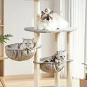 Small Cat Tree Tower with Lots of Scratching Posts - 42 Inch Medium Compact Cats Scratch House with Hammock Perch for Multi Level 2 Kitty - Indoor Corner Cat Bed Condo Climbing Gym Towers Furniture
