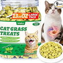 Wellix 13.05oz Cat Grass Treats with Catnip & Salmon - Healthy Cat Treats for Indoor Cats - Hairball Control & Digestive Support - Kittens Training Snacks for Teeth Cleaning